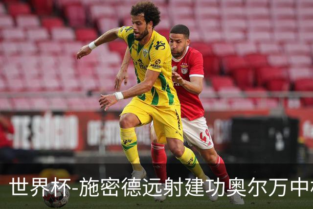 世界杯-施密德远射建功奥尔万中框 半场奥地利1-0约旦