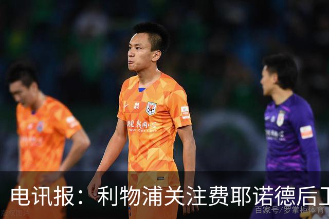 电讯报：利物浦关注费耶诺德后卫海特勒伊达